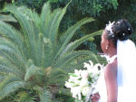 mariage_martinique_4